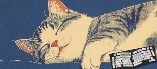 Cat lying on a blue surface with a keyboard in front