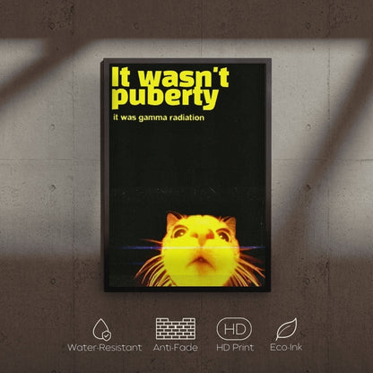 Poster with a cat's face and text about gamma radiation on a textured wall.