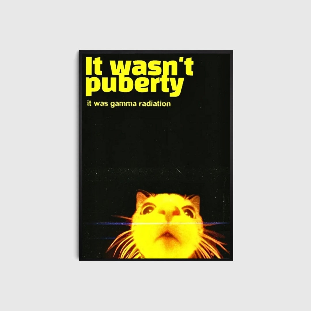Poster with a cat's face and text about gamma radiation on a black background
