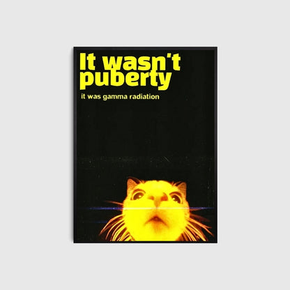 Poster with a cat's face and text about gamma radiation on a black background