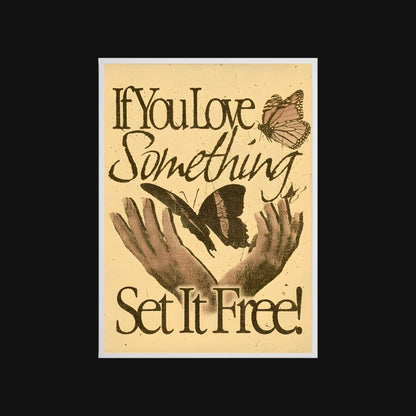 Poster with text 'If You Love Something Set It Free!' and butterfly illustrations on a beige background.