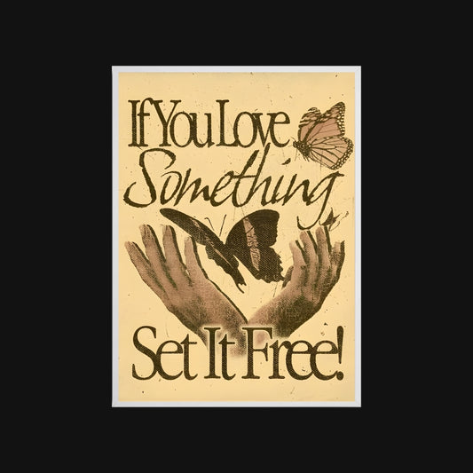 Poster with text 'If You Love Something Set It Free!' and butterfly illustrations on a beige background.